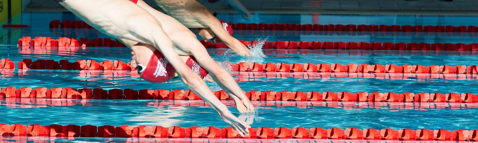 Bayside Swimming Club